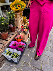 Nina fuchsia broek