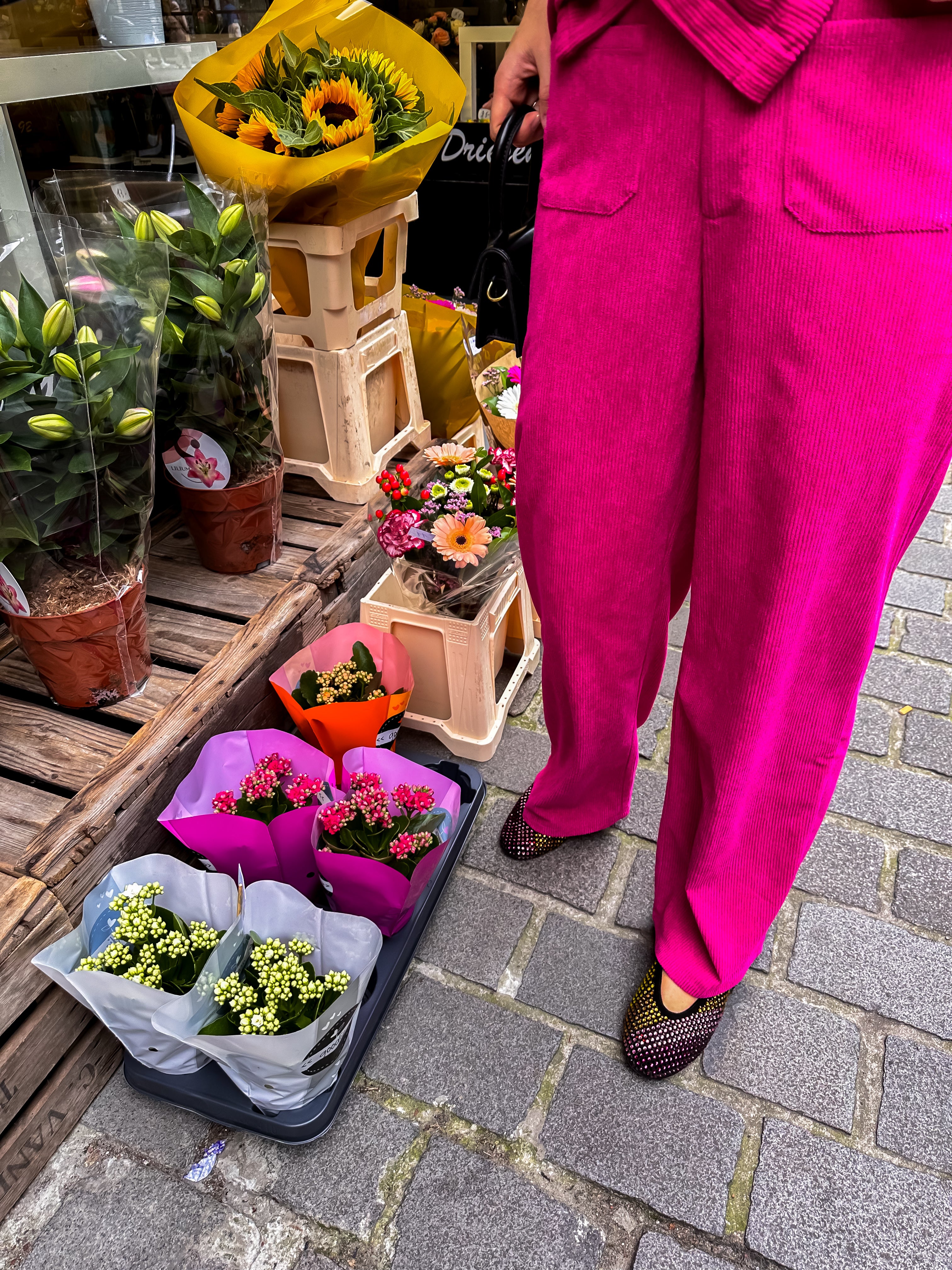 Nina fuchsia broek